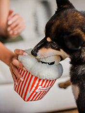 pet-play-peluche-pour-chien-chiot-Hollywoof-pop-corn