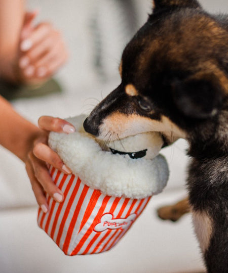 pet-play-peluche-pour-chien-chiot-Hollywoof-pop-corn