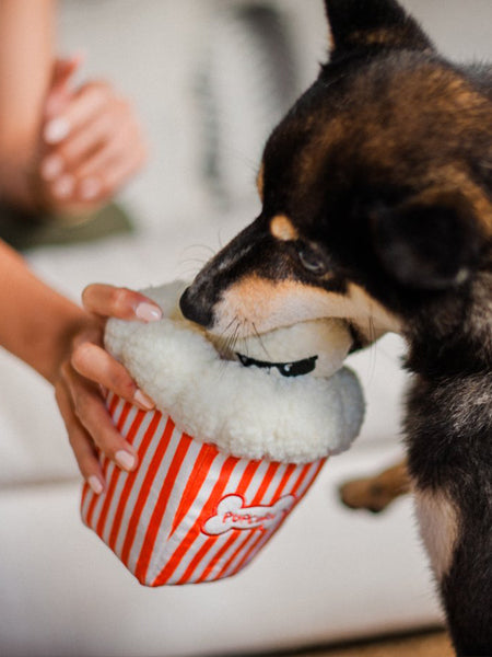 pet-play-peluche-pour-chien-chiot-Hollywoof-pop-corn