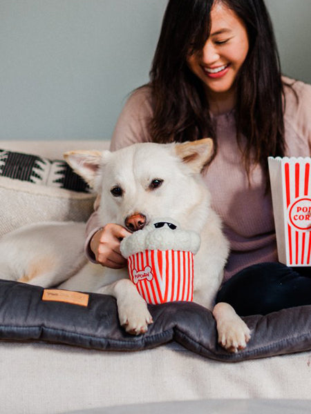 pet-play-peluche-pour-chien-chiot-Hollywoof-pop-corn