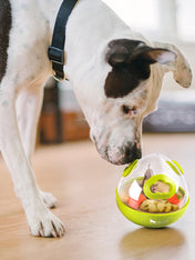 petplay-jouet-distributeur-de-friandises-pour-chien-wobble-ball-vert