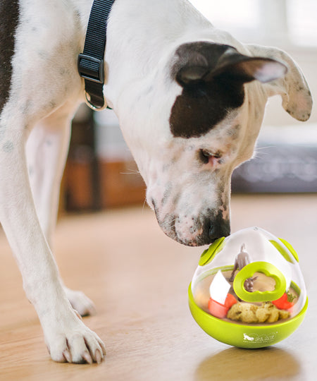 petplay-jouet-distributeur-de-friandises-pour-chien-wobble-ball-vert
