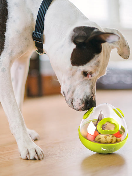 petplay-jouet-distributeur-de-friandises-pour-chien-wobble-ball-vert