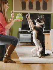 petplay-jouet-distributeur-de-friandises-pour-chien-wobble-ball-vert