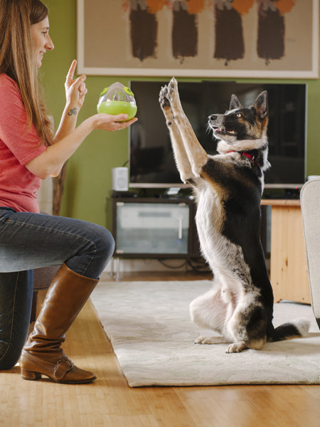 petplay-jouet-distributeur-de-friandises-pour-chien-wobble-ball-vert