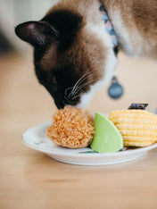 petplay Jouet pour chat à l'herbe a chat biologique poulet