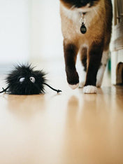 petplay Jouet pour chat à l'herbe a chat biologique monstre poilu