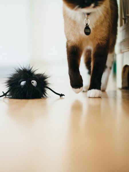 petplay Jouet pour chat à l'herbe a chat biologique monstre poilu