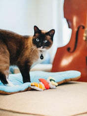 petplay Jouet pour chat à cataire biologique sushi