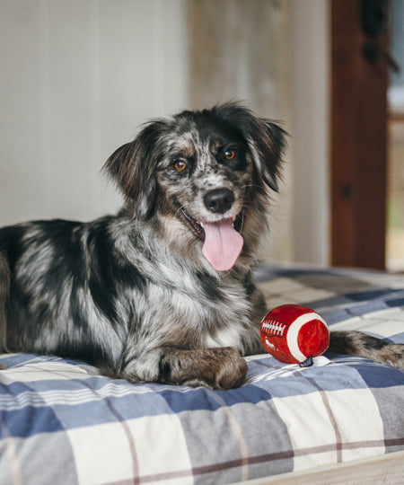 pet-play-jouet-pour-chien-balle-football-us