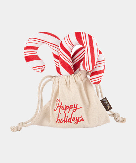 petplay-peluche-ecofriendly-pour-chien-canne-a-sucre