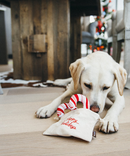 pet-play-jouet-pour-chien-ecologique-sucre-orge-noel