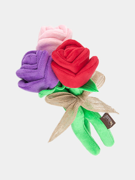 pet-play-jouet-pour-chien-saint-valentin