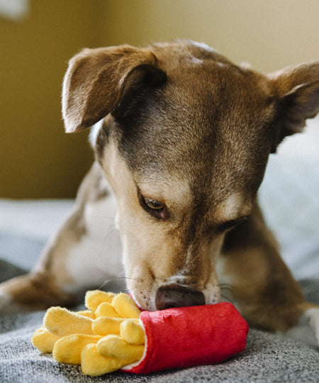 Peluche pour chien frites pet play
