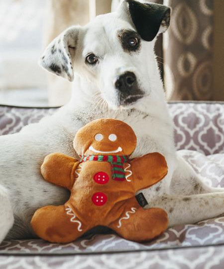 pet-play-jouet-pour-chien-noel