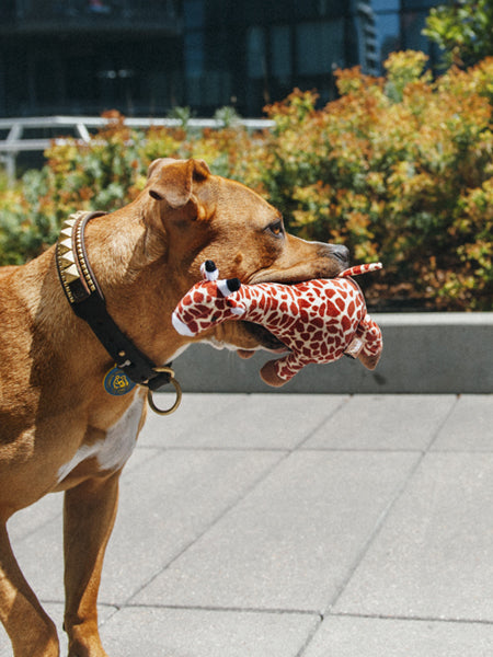 petplay-peluche-ecofriendly-pour-chien-girafe