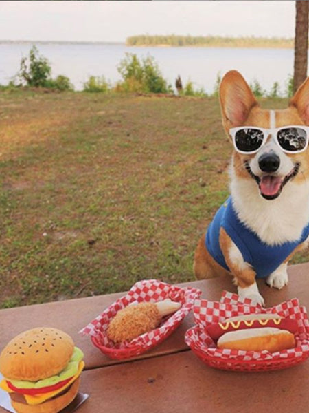 Peluche pour chien hot dog pet play