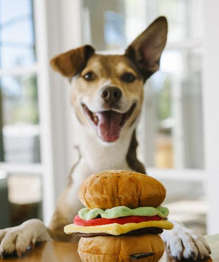 petplay-jouet-en-peluche-pour-chien