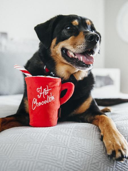 pet-play-peluche-pour-chien-ecologique-noel