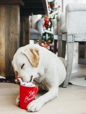 pet-play-peluche-pour-chien-noel