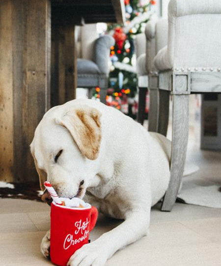 pet-play-peluche-pour-chien-noel