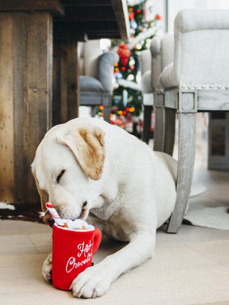 pet-play-peluche-pour-chien-noel