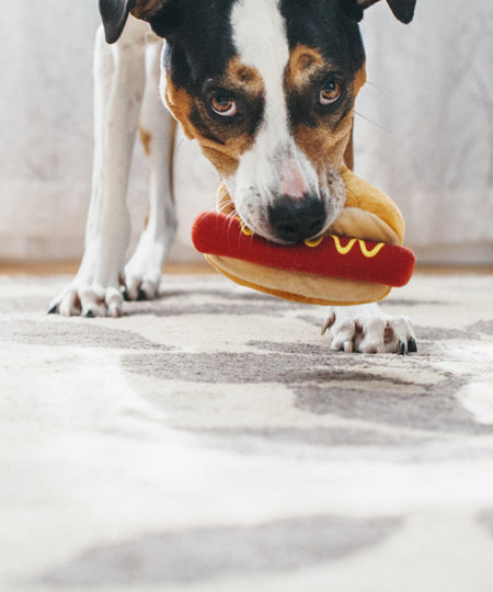 Peluche pour chien hot dog pet play
