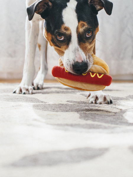 Peluche pour chien hot dog pet play