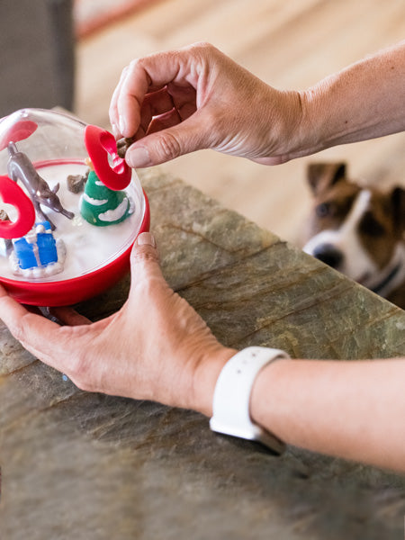 wobble-ball-jouet-puzzle-pour-chien