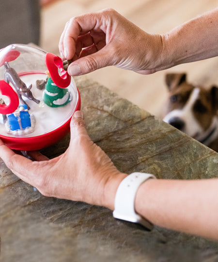 wobble-ball-jouet-puzzle-pour-chien