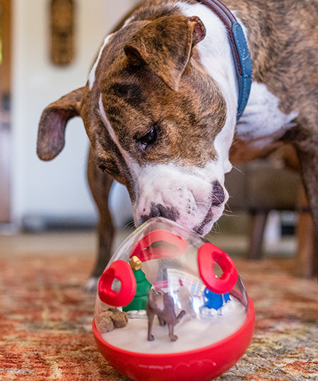 wobble-ball-jouet-interactif-pour-chien
