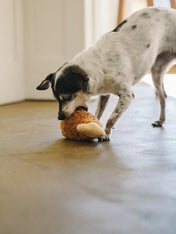 Peluche pour chien poulet frit pet play