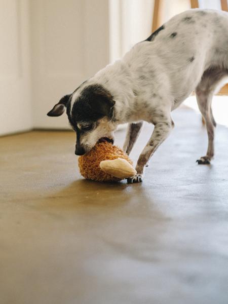 Peluche pour chien poulet frit pet play