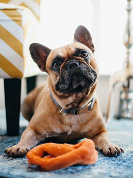 petplay-peluche-ecofriendly-pour-chien-pretzel