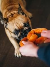 petplay-peluche-ecofriendly-pour-chien-pretzel