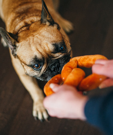 petplay-peluche-ecofriendly-pour-chien-pretzel