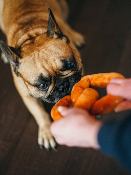 petplay-peluche-ecofriendly-pour-chien-pretzel