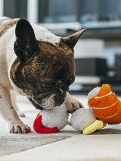 pet-play-peluche-pour-chien-sushi