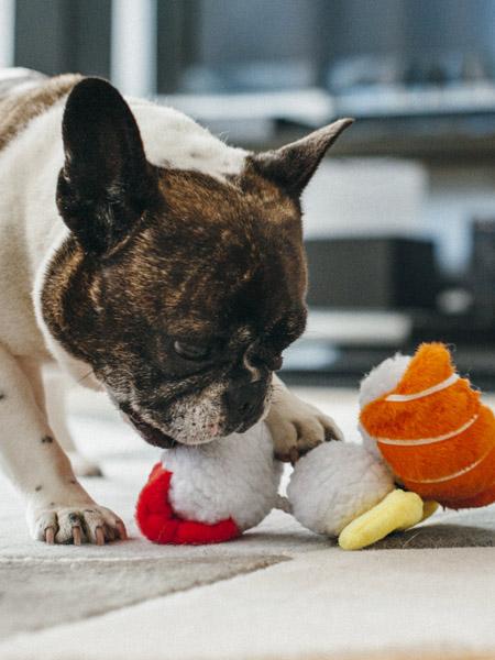 pet-play-peluche-pour-chien-sushi