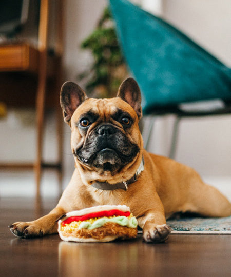 pet-play-jouet-pour-chien-tacos