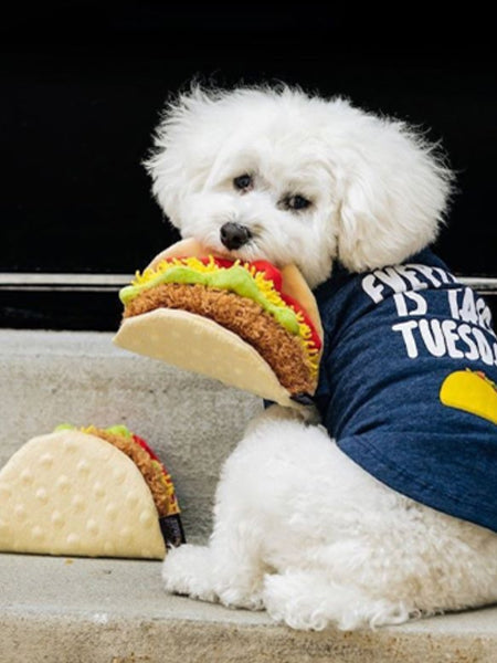 pet-play-peluche-pour-chien-tacos