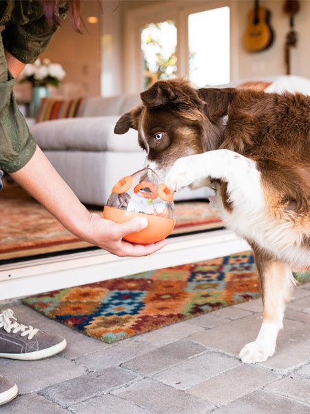 wobble-ball-jouet-interactif-pour-chien