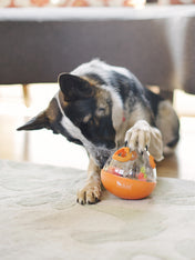 wobble-ball-jouet-stimulant-pour-chien