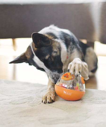 wobble-ball-jouet-stimulant-pour-chien