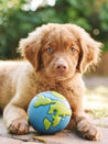 planet-dog-jouet-resistant-eco-friendly-durable-naturel-balle-chiot