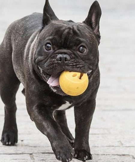 planet-dog-jouet-resistant-eco-friendly-durable-naturel-balle-nook-smiley