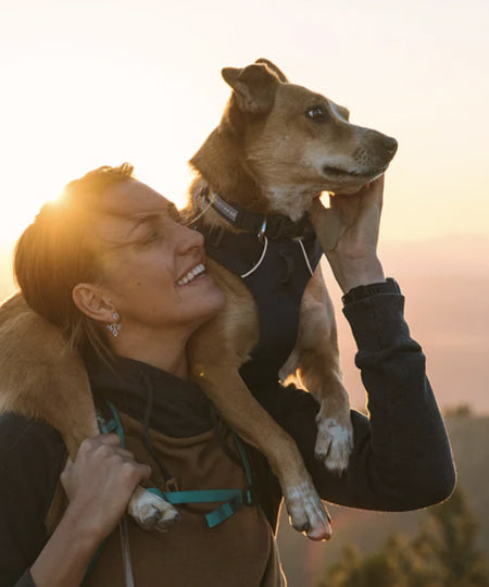 ruffwear-collier-front-range-pour-chien-gris-Twilight