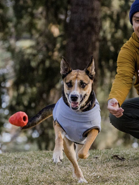 ruffwear-jouet-resistant-eco-friendly-durable-naturelgnawt-a-cone-rouge-2023