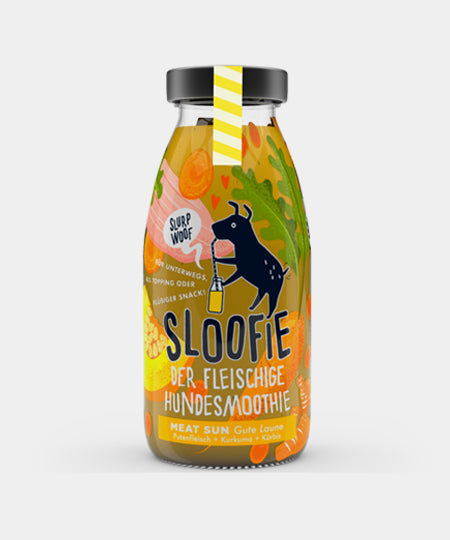 sloofie-smoothie-pour-chien-sun-meat-volaille