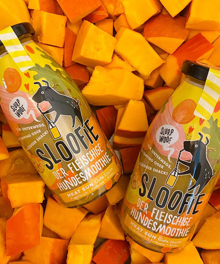 sloofie-smoothie-pour-chien-sun-meat-volaille